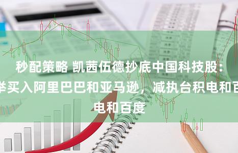 秒配策略 凯茜伍德抄底中国科技股：大举买入阿里巴巴和亚马逊，减执台积电和百度