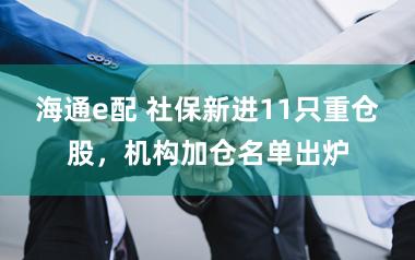 海通e配 社保新进11只重仓股，机构加仓名单出炉