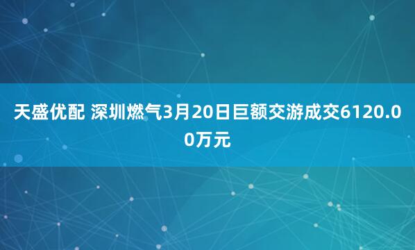 天盛优配 深圳燃气3月20日巨额交游成交6120.00万元