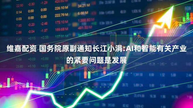 维嘉配资 国务院原副通知长江小涓:AI和智能有关产业的紧要问题是发展