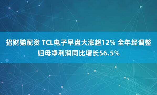 招财猫配资 TCL电子早盘大涨超12% 全年经调整归母净利润同比增长56.5%