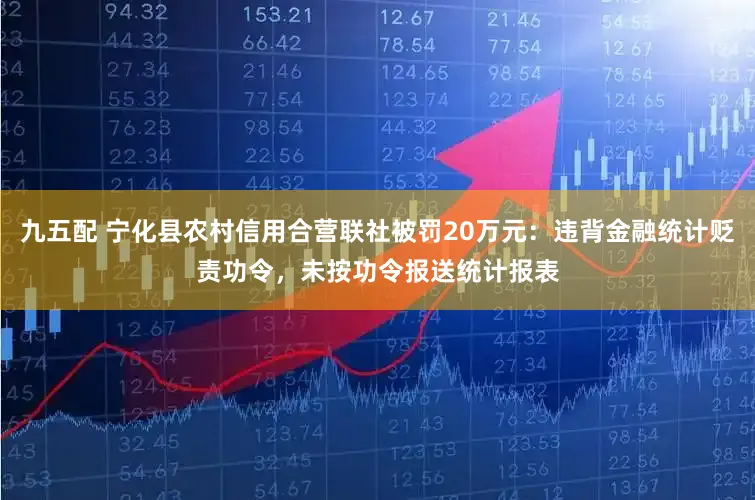 九五配 宁化县农村信用合营联社被罚20万元：违背金融统计贬责功令，未按功令报送统计报表