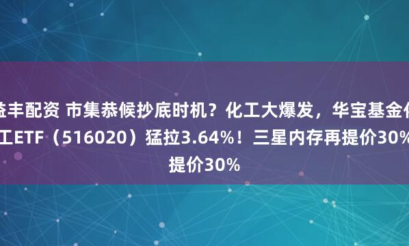 益丰配资 市集恭候抄底时机？化工大爆发，华宝基金化工ETF（516020）猛拉3.64%！三星内存再提价30%