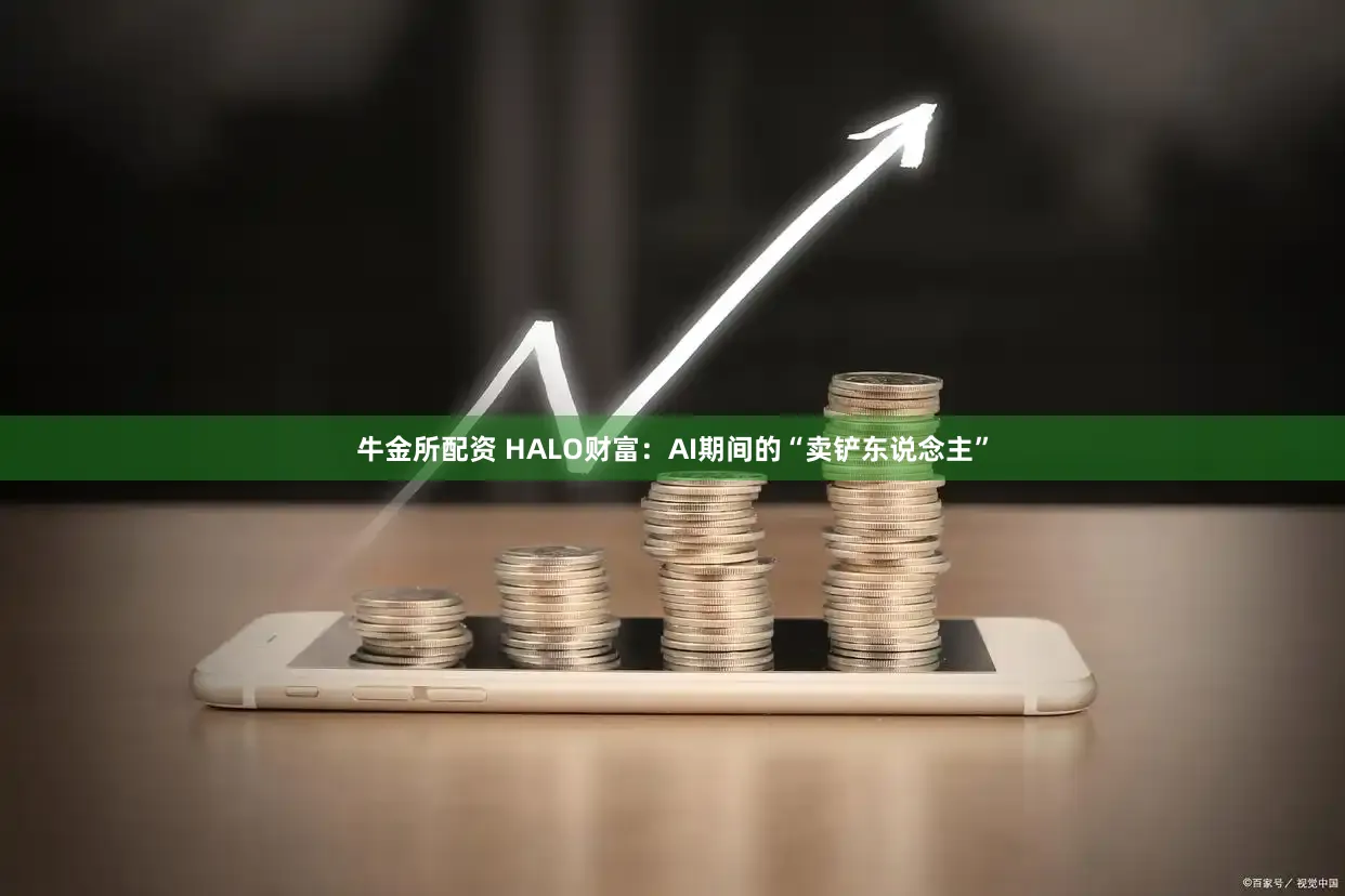 牛金所配资 HALO财富:AI期间的“卖铲东说念主”