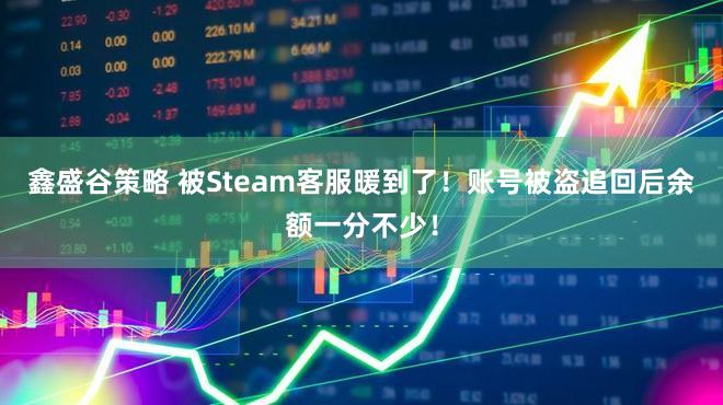 鑫盛谷策略 被Steam客服暖到了!账号被盗追回后余额一分不少!