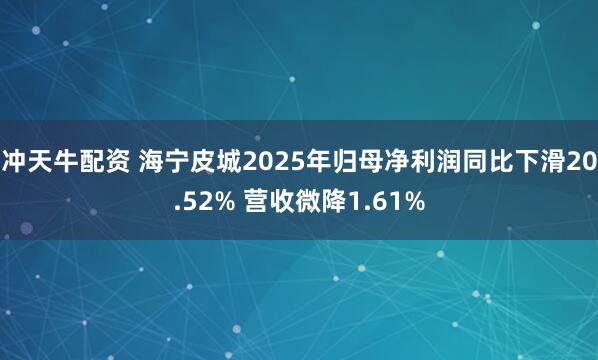 冲天牛配资 海宁皮城2025年归母净利润同比下滑20.52% 营收微降1.61%