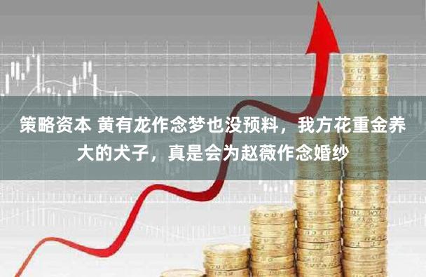 策略资本 黄有龙作念梦也没预料，我方花重金养大的犬子，真是会为赵薇作念婚纱
